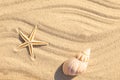 Seashell and starfish on beach sand with wave pattern, flat lay Royalty Free Stock Photo