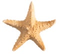 Seashell starfish top view isolated on white background with clipping path Royalty Free Stock Photo