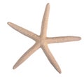 Seashell starfish top view isolated on white background with clipping path Royalty Free Stock Photo