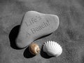 Seashell Stone Life's a Beach