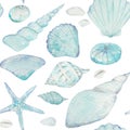 seashell, nature, blue color, watercolour, the art, the illustration, clip art, pattern