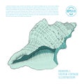 Seashell. Vector vintage illustration stylized as hand-drawn sketch graphic with hatching