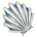 Seashell watercolor illustration. Hand drawn sketch of sea shell in pastel blue and beige colors. Drawing of seashore