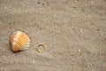 Seashell and wedding rings on the sand Royalty Free Stock Photo