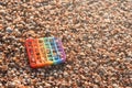 seashells with an anti-stress toy. Rainbow Pop it toy on seashells.