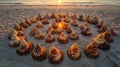 Seashells Arranged in Circle on Sandy Beach at Sunset Royalty Free Stock Photo