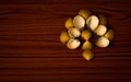 Seashells arranged on dark background