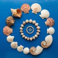Nautilus shells (Nautilidae) are positioned prominently on the bottom right Royalty Free Stock Photo