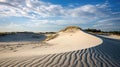 seashells barrier island landscape