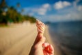 Seashells on the beach