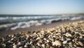 Seashells on the beach of the Black Sea of different colors and sizes against the background of sea waves Royalty Free Stock Photo