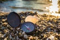 Seashells on the beach Royalty Free Stock Photo