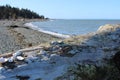 A windy winter day at a Pacific Northwest beach with a big driftwood Royalty Free Stock Photo