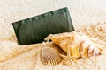 Seashells and a blank sign on a tropical beach Royalty Free Stock Photo