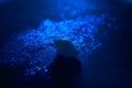 Seashells on a blue glitter texture background. Sequins are scattered on a black background. Shimmering sand effect. On the