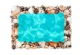 Seashells, blue ocean water frame white background isolated close up top view, sea shells decorative border, summer beach holidays