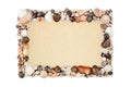 Seashells, blue ocean water frame white background isolated close up top view, sea shells decorative border, summer beach holidays