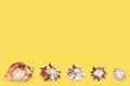 Seashells border yellow background close up, conch and sea shells decorative pattern, blank frame, summer beach holidays banner Royalty Free Stock Photo