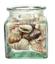 Seashells in Bottle Royalty Free Stock Photo