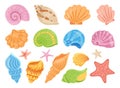 Seashells cartoon hand drawn set ocean marine starfish mollusk conch sink water flat design vector Royalty Free Stock Photo