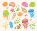 Seashells cartoon hand drawn set ocean marine starfish mollusk seaweed conch jellyfish sea vector Royalty Free Stock Photo