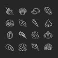 Seashells chalk white icons set on black background Royalty Free Stock Photo