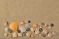 Seashells on a sand background Royalty Free Stock Photo
