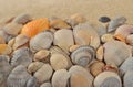 Seashells on a sand background Royalty Free Stock Photo