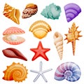 Seashells collection. Vector flat cartoon illustration. Summer travel design elements, isolated on white background Royalty Free Stock Photo