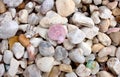 Seashells And Colored Rocks Background Royalty Free Stock Photo