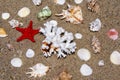Seashells, coral and starfish