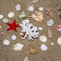 Seashells, coral and starfish