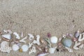 Seashells and corals border on sand background. Royalty Free Stock Photo