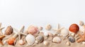 Seashells, corals, and starfish banner on white sandy beach for summer travel and vacation concept Royalty Free Stock Photo