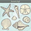 Seashells Craft Elements Set