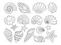 Seashells doodle hand drawn set ocean marine starfish molluskconch sink under water design vector Royalty Free Stock Photo