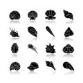 Seashells drop shadow black glyph icons set Royalty Free Stock Photo