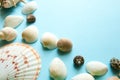 Seashells flat lay pattern on blue background, sea vacation background with copy space, top view Royalty Free Stock Photo
