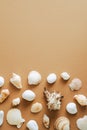 Seashells frame border on sand colored background. Flat lay, top view, vertical composition Royalty Free Stock Photo