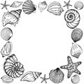 Seashells frame. Sea and ocean design template. Vector illustration. Vector card templates. Perfect for business card, invitation