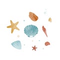 Seashells hand drawn illustration