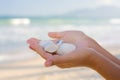 Seashells in hands Royalty Free Stock Photo