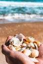 Seashells in hands on the background of the sea, the concept of recreation