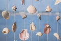 Seashells hanging on strings for decoration.