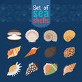 Seashells icons in flat style