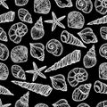 Seashells illustration black and white seamless pattern