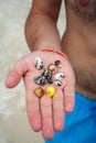 Seashells on man`s hand palm Royalty Free Stock Photo