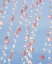 seashells mobile hanging for curtain against blue sky background