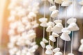 Seashells mobile hanging. handicrafts produced by sea shell