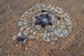 Handmade Circle Seashells Pattern On Shell Sand Top View Royalty Free Stock Photo